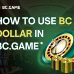 How to Use BCD in BC.Game